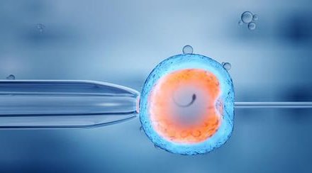 初生的试管婴儿怎样照顾（刚出生的试管婴儿护理注意事项）