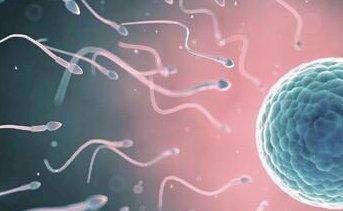 南昌一附院做试管婴儿怎么样？内附试管婴儿操作流程