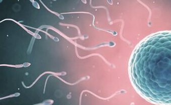 女性有染色体罗氏易位在胡杨河市做试管养囊成功率高吗？试管移植后需要保胎吗！