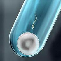 做试管婴儿如何防止空卵泡？找到原因才能从根源上避免