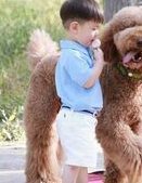 排卵障碍不容忽视，不孕大多是其原因！韩城市哪家医院擅长排卵障碍试管方案？